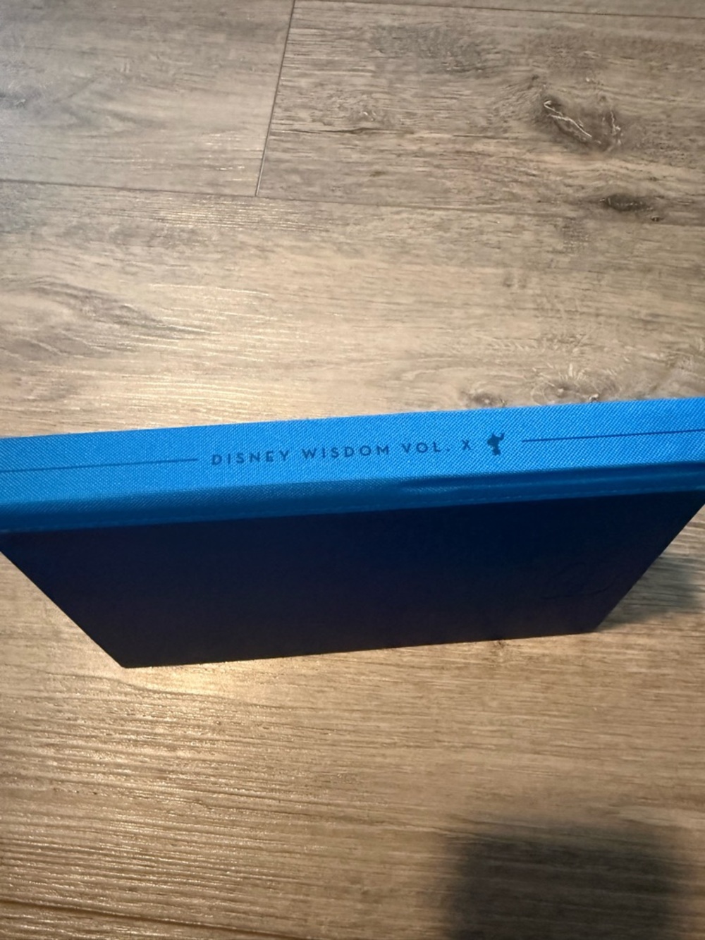 Disney Wisdom Navy Narrator Journal - Picture 4 of 4